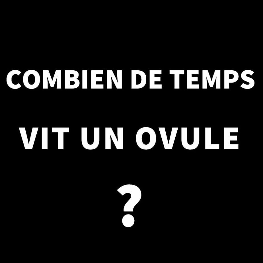 Connaître la durée de vie d’un ovule peut vous changer la vie !