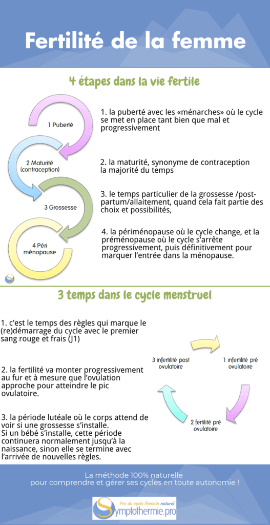 fertilite cyclique femme