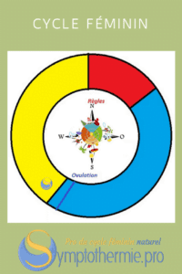 symptothermie cycle féminin menstruel symptothermie cycle féminin menstruel