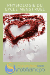 symptothermie physiologie cycle symptothermie physiologie cycle