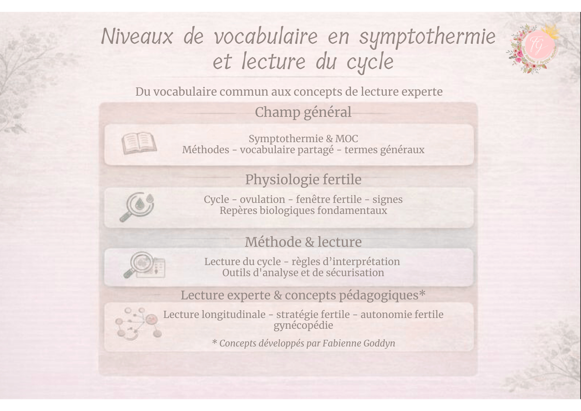 Schéma des niveaux de vocabulaire en symptothermie, distinguant les termes généraux, la physiologie fertile, la méthode de lecture du cycle et les concepts de lecture experte.
